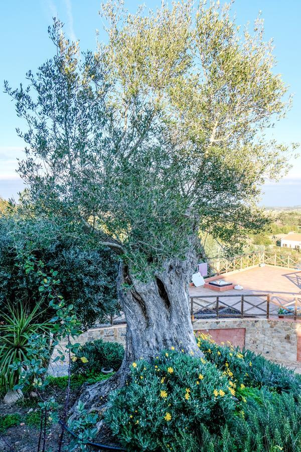 Monte Soalheiro Konuk evi Formia Dış mekan fotoğraf
